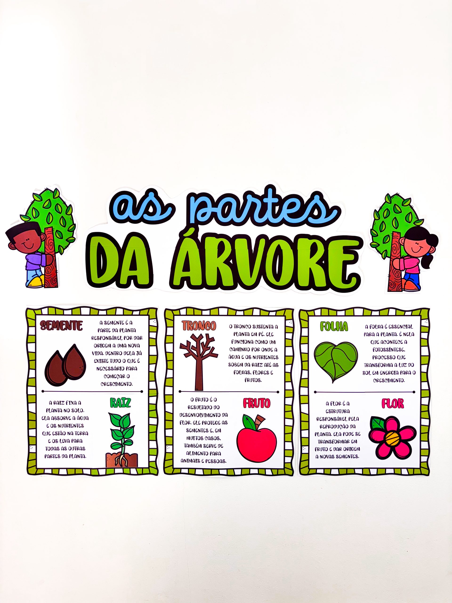 CARTAZES - PARTES DA ÁRVORE