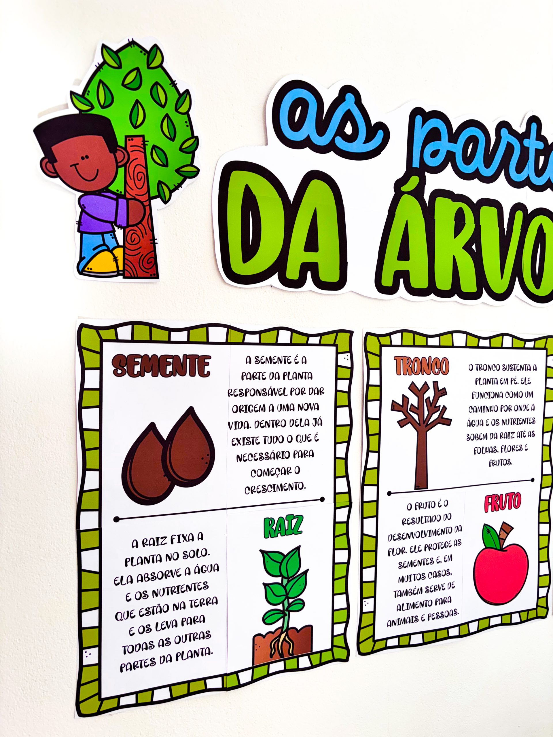 CARTAZES - PARTES DA ÁRVORE - Imagem 3