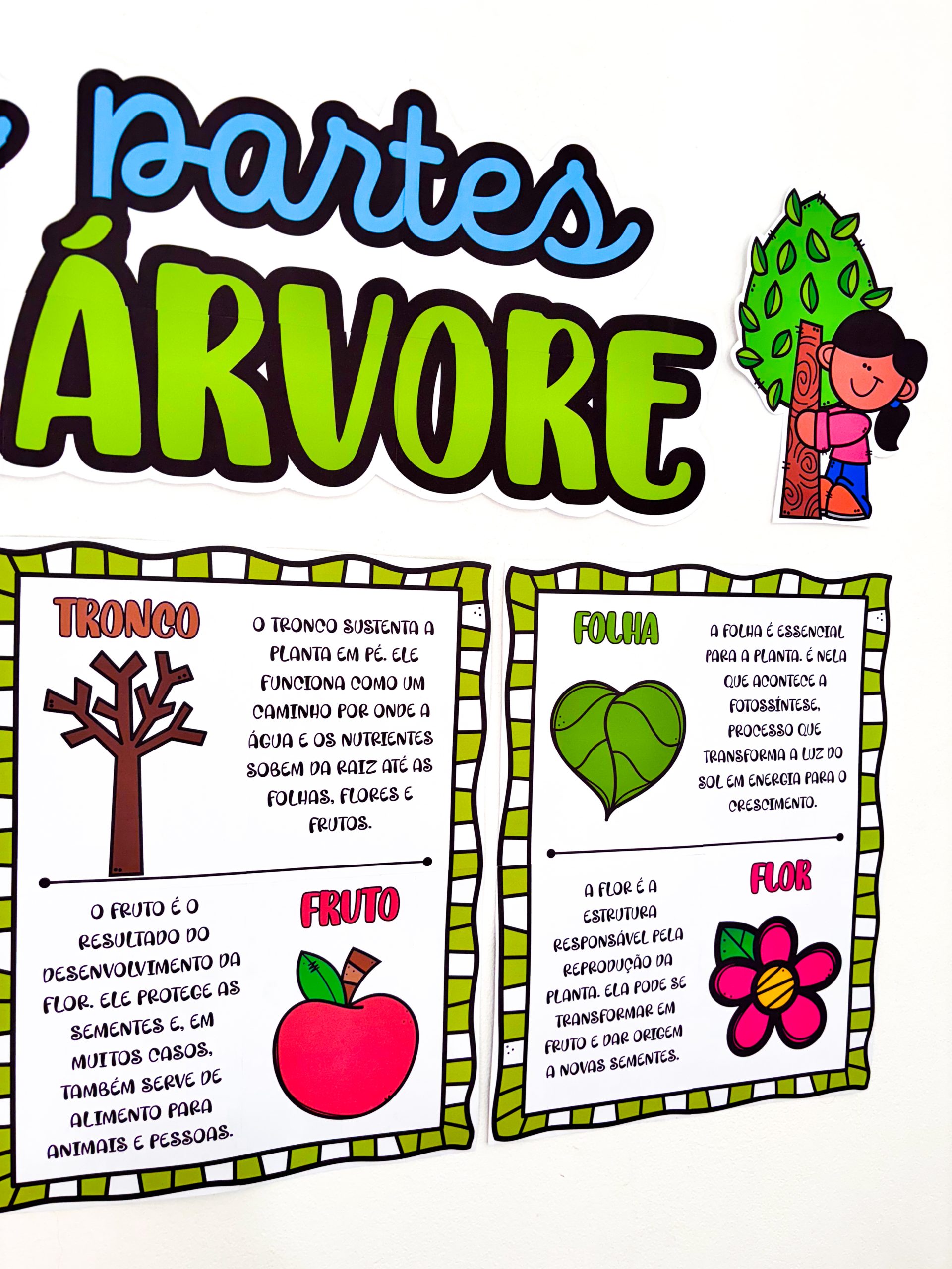 CARTAZES - PARTES DA ÁRVORE - Imagem 4
