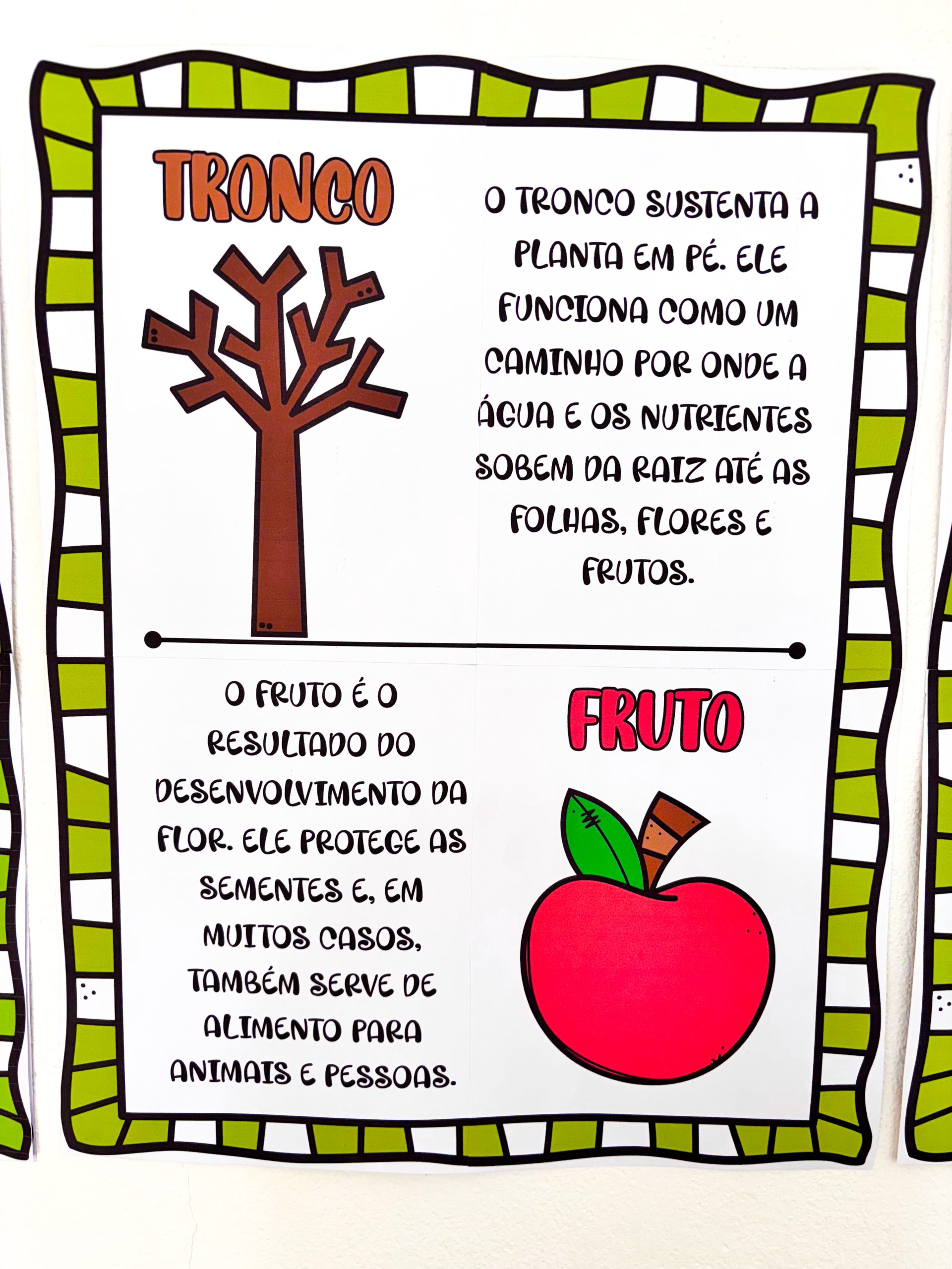 CARTAZES - PARTES DA ÁRVORE - Imagem 6