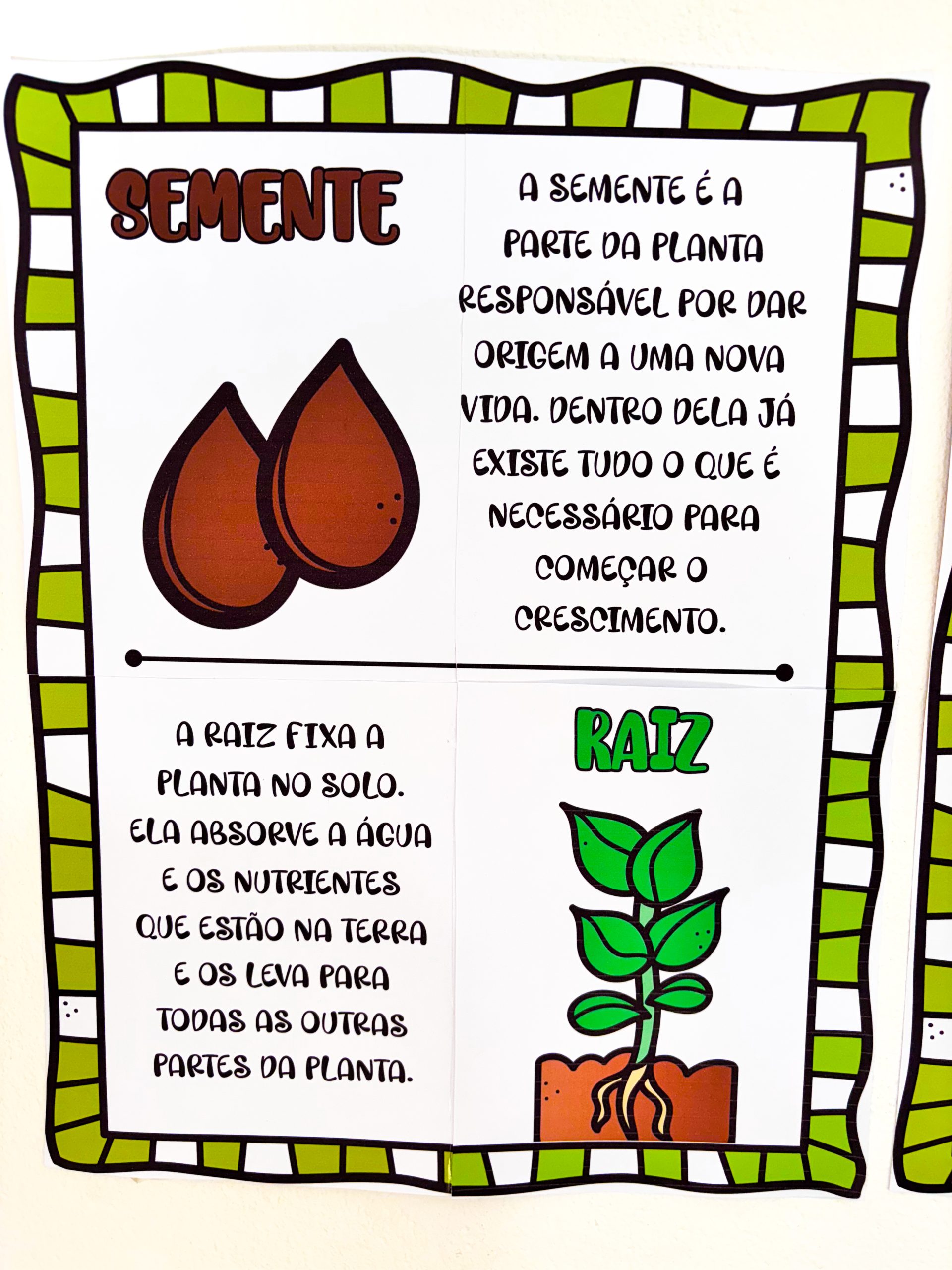 CARTAZES - PARTES DA ÁRVORE - Imagem 7