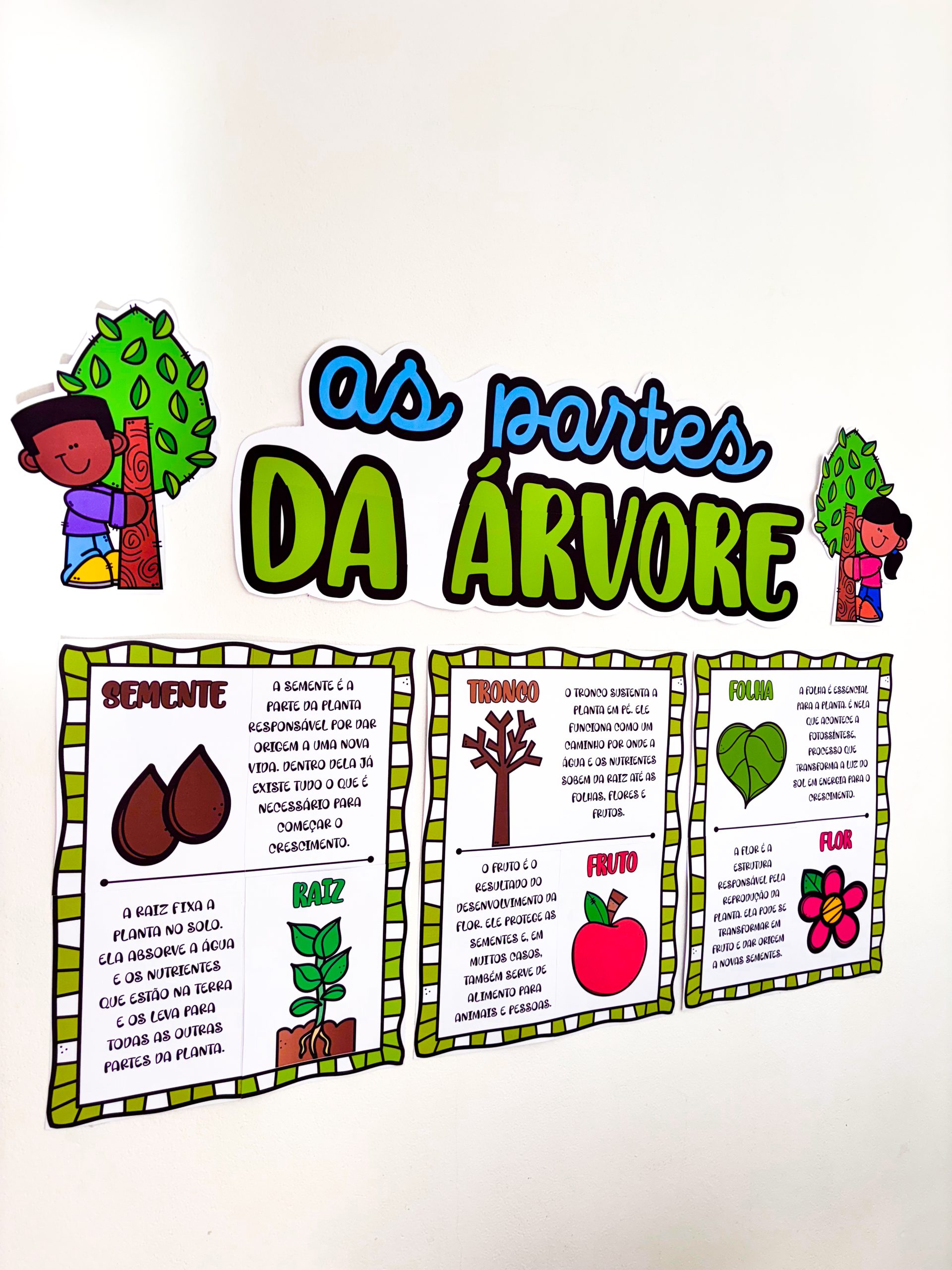 CARTAZES - PARTES DA ÁRVORE - Imagem 8