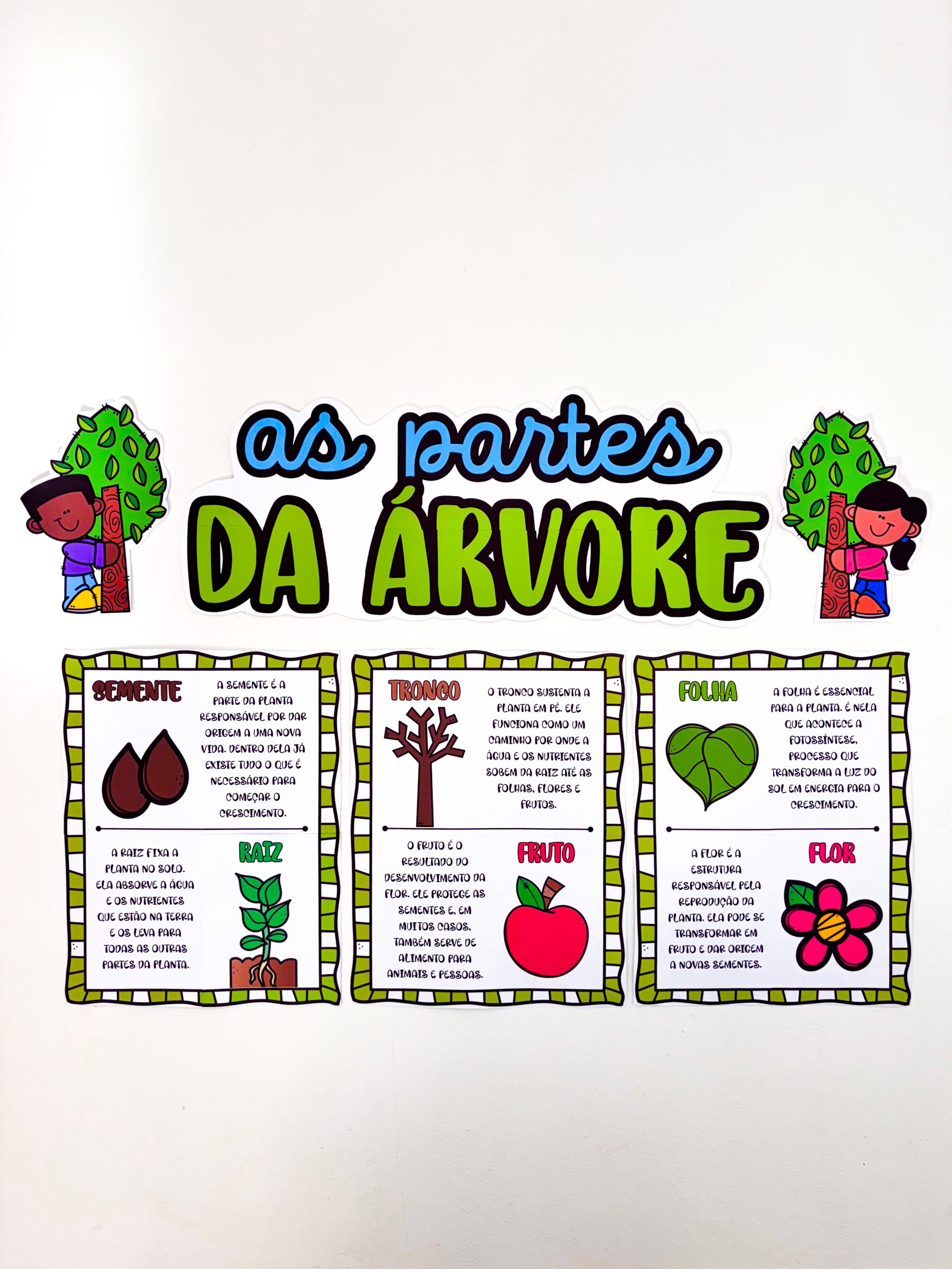 CARTAZES - PARTES DA ÁRVORE - Imagem 9