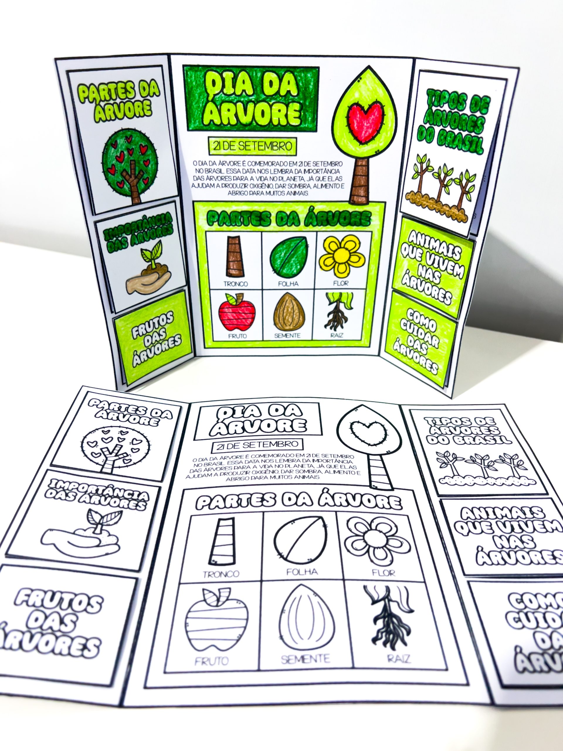 LAPBOOK DO DIA DA ÁRVORE