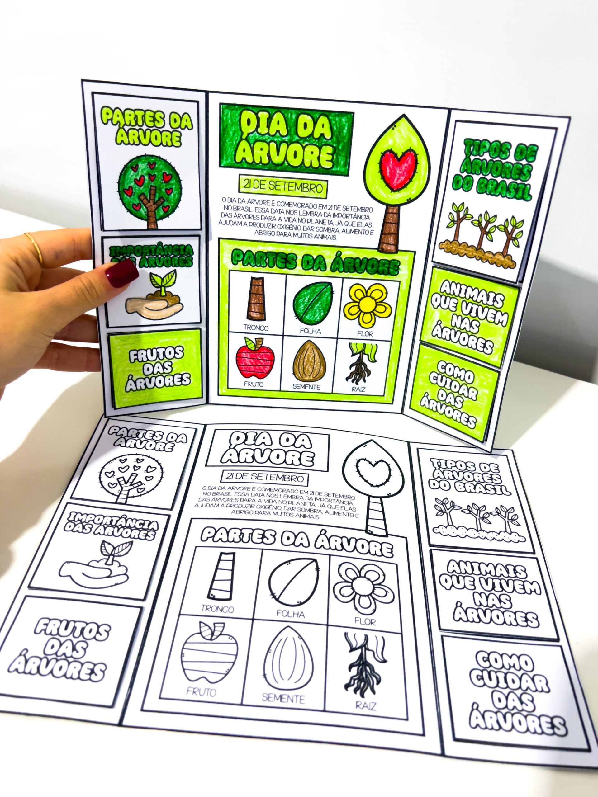 LAPBOOK DO DIA DA ÁRVORE - Imagem 5