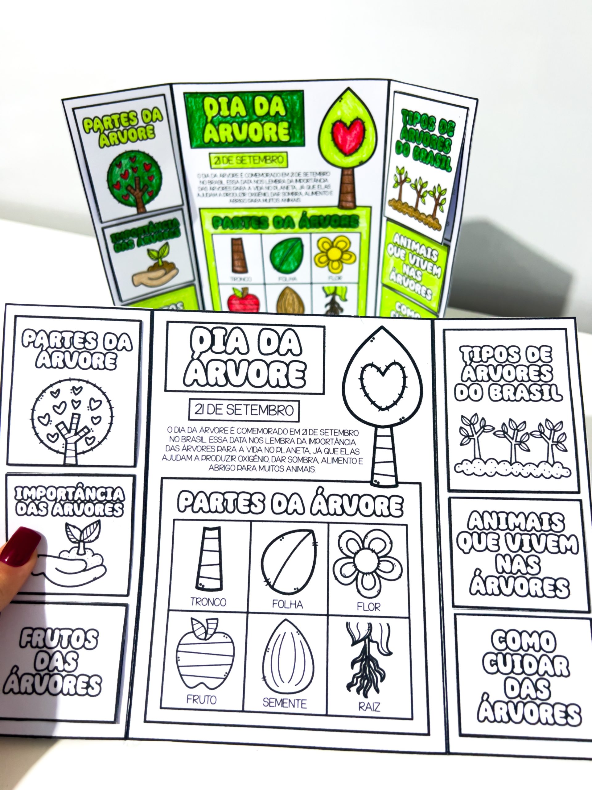 LAPBOOK DO DIA DA ÁRVORE - Imagem 4