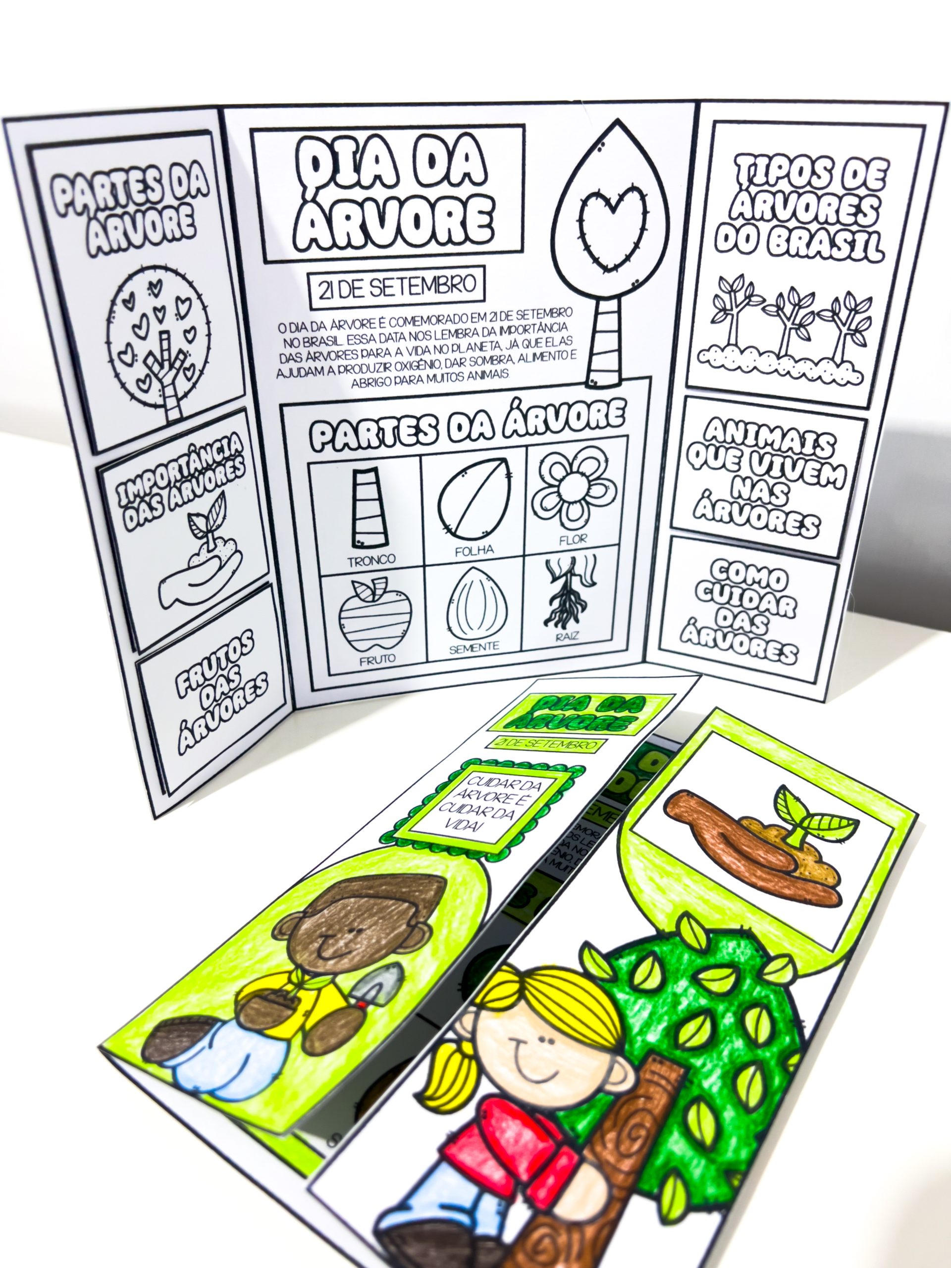LAPBOOK DO DIA DA ÁRVORE - Imagem 3