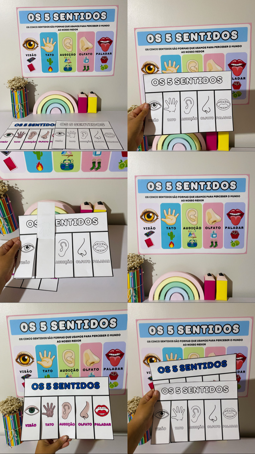 MATERIAL - OS CINCO SENTIDOS - Imagem 4