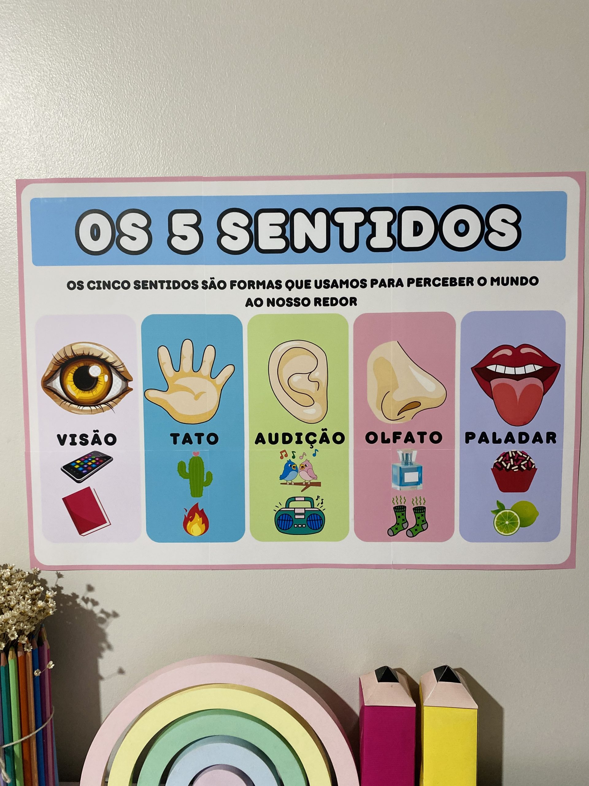 MATERIAL - OS CINCO SENTIDOS - Imagem 5