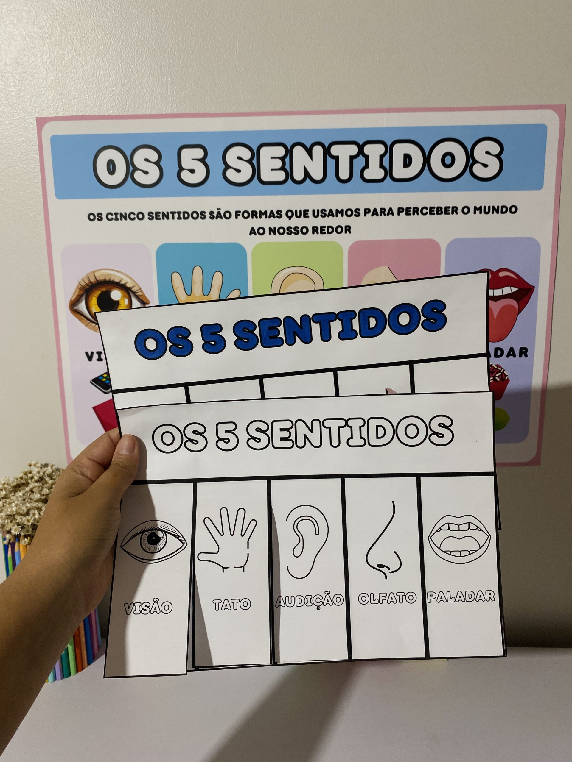 MATERIAL - OS CINCO SENTIDOS - Imagem 3