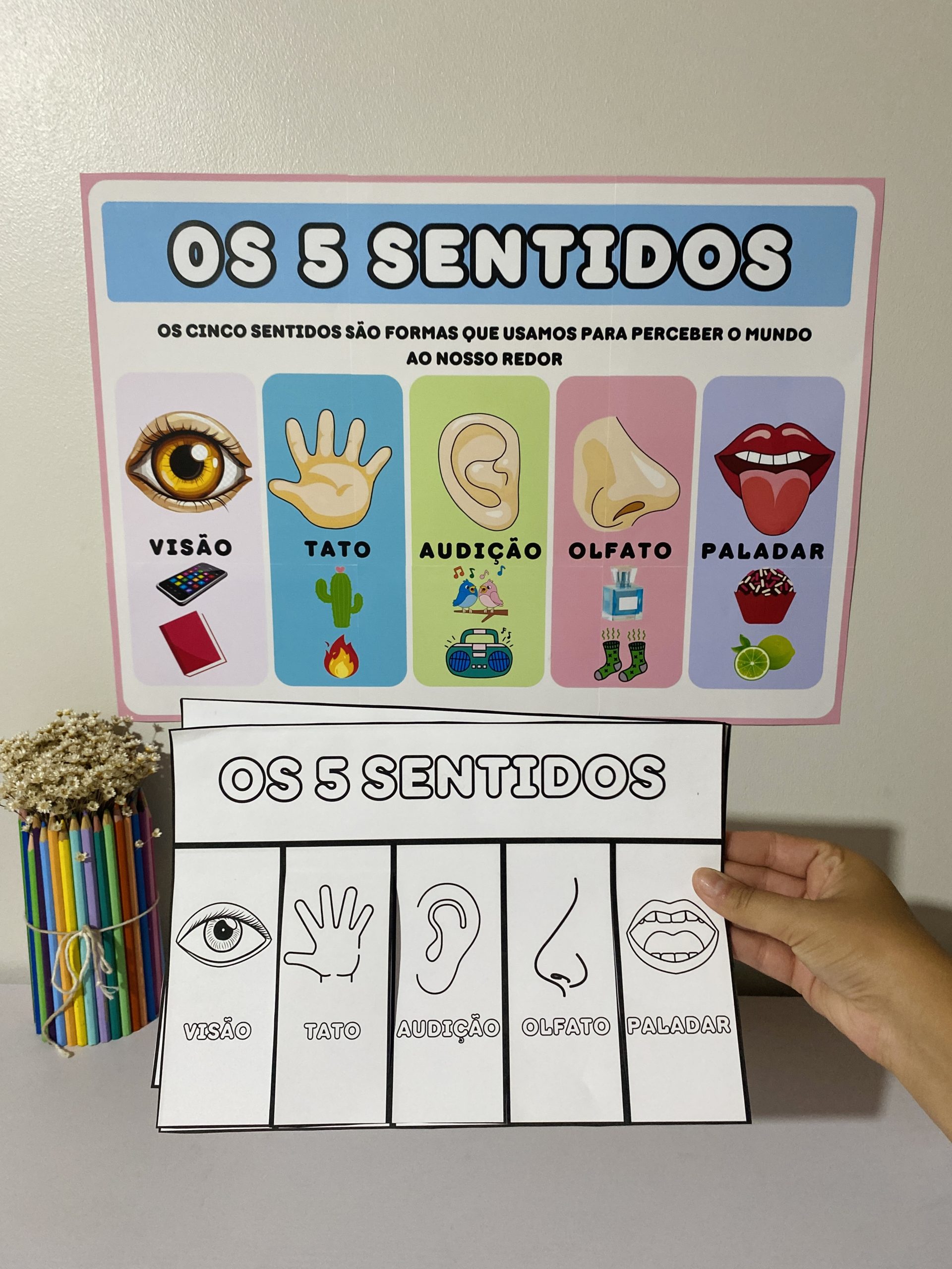 MATERIAL - OS CINCO SENTIDOS - Imagem 7